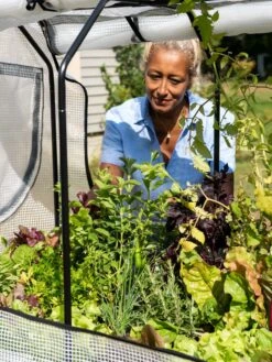 VegTrug®Patio Garden Greenhouse Cover Kit -GardenPro Shop 8610172 1256