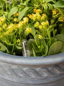 Adjustable Self-Watering Insert For Pots And Planters -GardenPro Shop 8610250 0010 tif