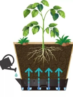 VegTrug® Build-a-Barrel Wooden Planter With Self-Watering Reservoir Tray, 18" 9 VegTrug® Build-a-Barrel Wooden Planter With Self-Watering Reservoir Tray, 18" -GardenPro Shop 8610253 05V tif