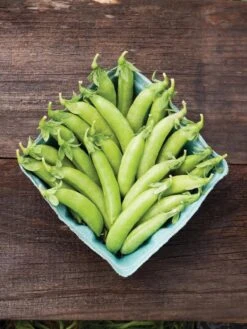 Family Garden Organic Seed Collection, Set Of 7 -GardenPro Shop 8610262 cascadia peas 01V tif