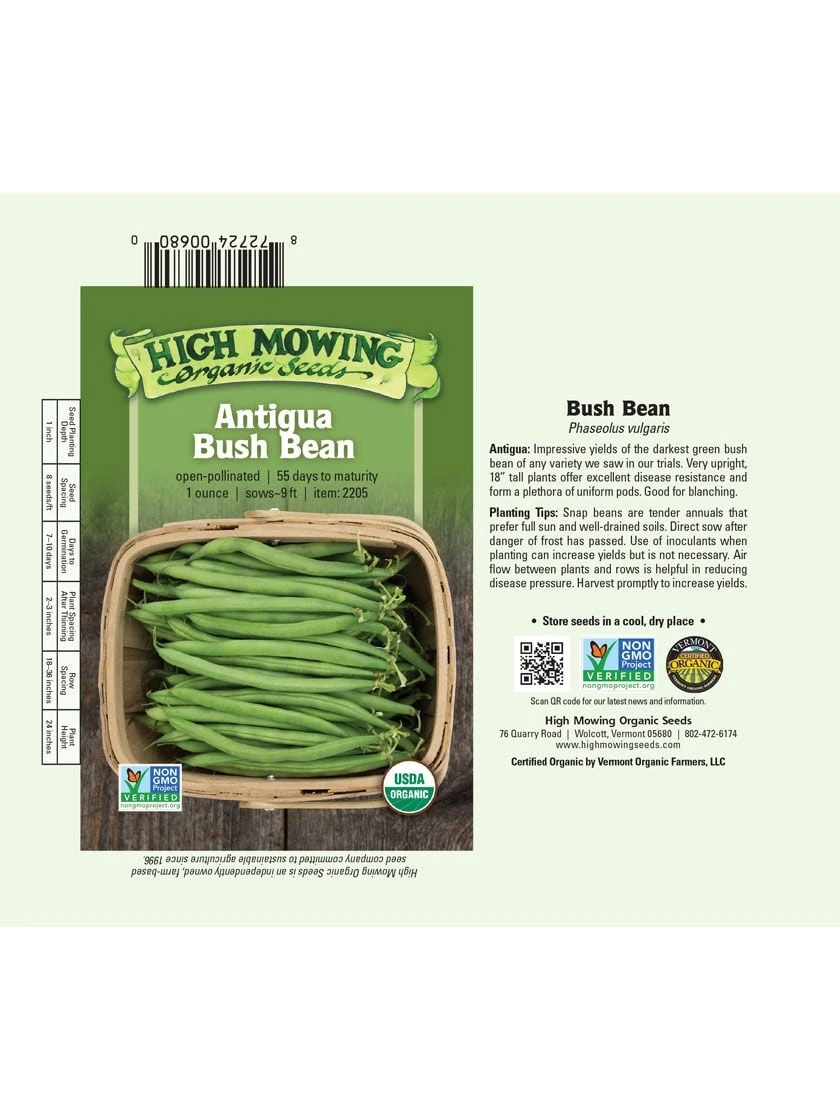 Antigua Bush Bean Organic Seeds 2 Antigua Bush Bean Organic Seeds - Image 2