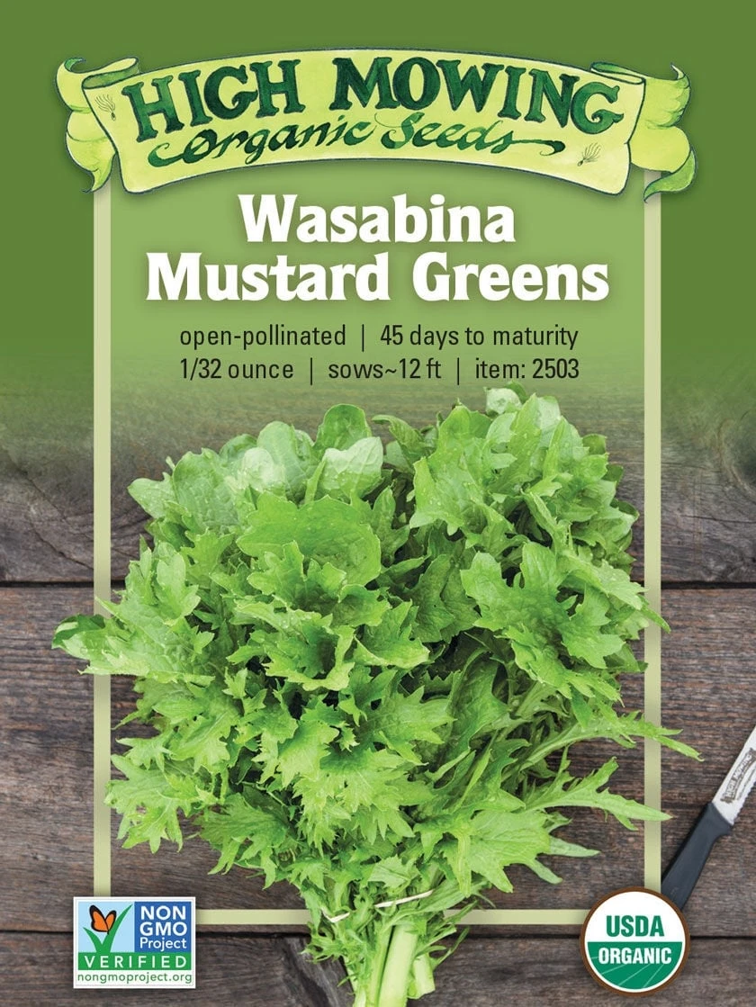 Wasabina Mustard Greens Organic Seeds 1 Wasabina Mustard Greens Organic Seeds