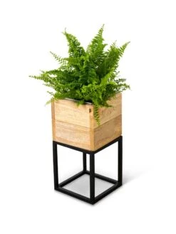 Tartu Elevated Square Planters 17 Tartu Elevated Square Planters -GardenPro Shop 8611004 038