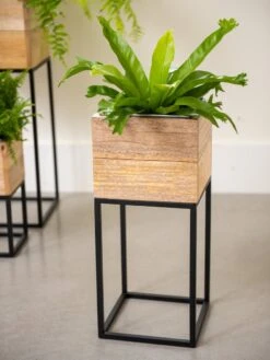 Tartu Elevated Square Planters 13 Tartu Elevated Square Planters -GardenPro Shop 8611005 035