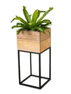 Tartu Elevated Square Planters 18 Tartu Elevated Square Planters -GardenPro Shop 8611005 036