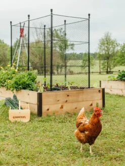 Tall Chicken Wire Critter Fence With Gate -GardenPro Shop 8611020 316 tif