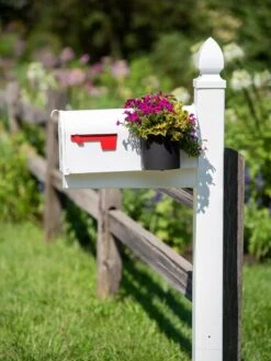 Mailbox Planter -GardenPro Shop 8611026 014 tif
