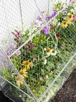 Chicken Wire Flat Back Crop Coop -GardenPro Shop 8611701 153 tif