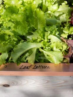 Re-Markable Raised Bed Trim -GardenPro Shop 8611757 326 tif