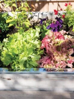 Re-Markable Raised Bed Trim -GardenPro Shop 8611758 306 tif