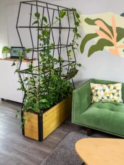 Self-Watering Partition Planter 8 Self-Watering Partition Planter -GardenPro Shop 8611952 001 tif