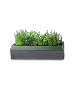 Provence Self-Watering Herb Planter -GardenPro Shop 8611965 03V tif