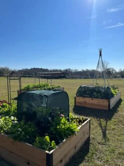 Pest Control Pop-Ups -GardenPro Shop 8611989 05 tif