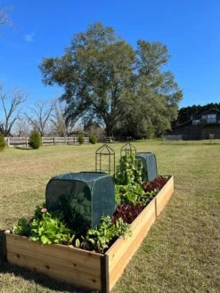 Pest Control Pop-Ups -GardenPro Shop 8611989 08 tif