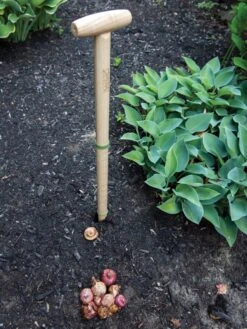 Wicked Big Dibber 8 Wicked Big Dibber -GardenPro Shop 8612667 0028