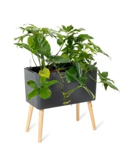 Ava Self-Watering Rectangular Planter -GardenPro Shop 8612691 0013