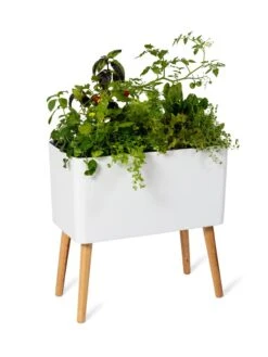Ava Self-Watering Rectangular Planter -GardenPro Shop 8612691 0014