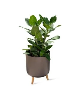 Ava Self-Watering Round Planter -GardenPro Shop 8612692 0003
