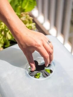 Self-Watering Standing Salad Planter With Cloche -GardenPro Shop 8612702 2034 tif