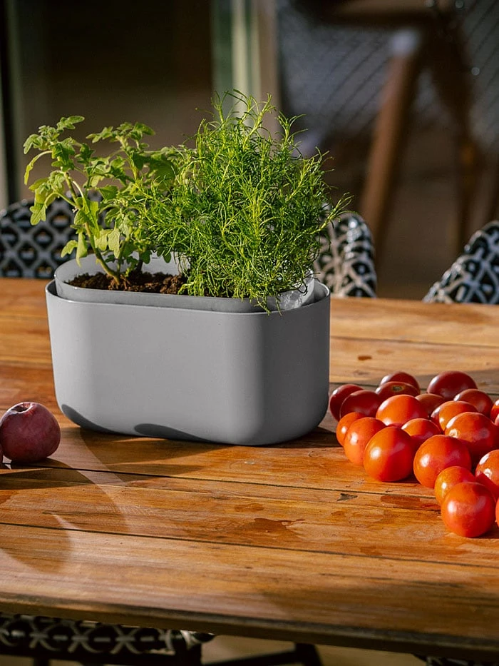 Tolita Recycled Self-Watering Flower Box 1 Tolita Recycled Self-Watering Flower Box