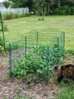 6 Panel Critter Fence With Gate -GardenPro Shop 8612967 2570 tif