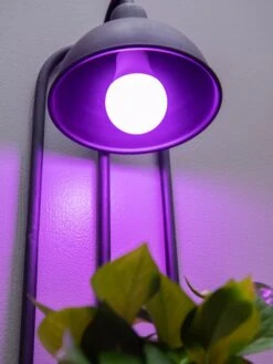 Kira Grow Light Hanging Planter 8 Kira Grow Light Hanging Planter -GardenPro Shop 8613232 5663