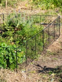 Chicken Wire Critter Fence, 16" High -GardenPro Shop 8613249 0336