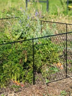 Chicken Wire Critter Fence, 16" High -GardenPro Shop 8613249 0352