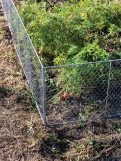 Chicken Wire Critter Fence, 16" High -GardenPro Shop 8613249 0358