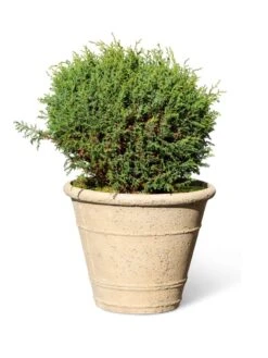 Self-Watering LavaStone® Anson Pot -GardenPro Shop 8613255 0150