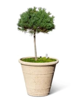 Self-Watering LavaStone® Anson Pot -GardenPro Shop 8613256 0138