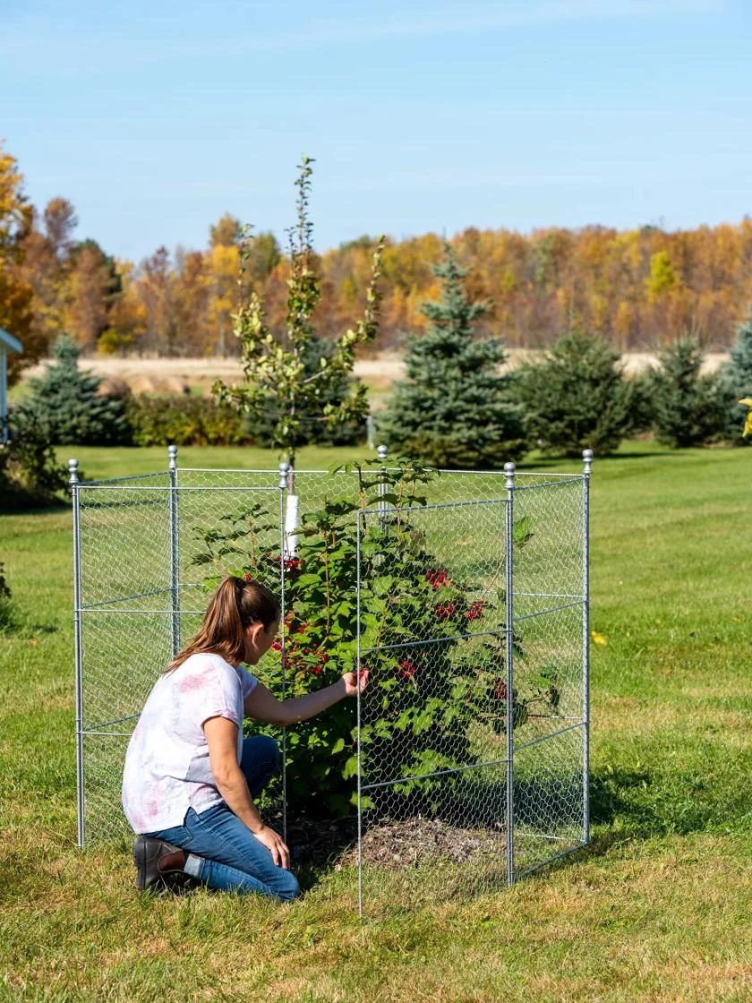 Tall Chicken Wire Critter Fence Extension Panel, Set Of 2 6 Tall Chicken Wire Critter Fence Extension Panel, Set Of 2 - Image 6