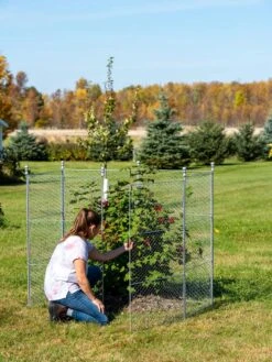 Tall Chicken Wire Critter Fence With Gate -GardenPro Shop 8613260 0044