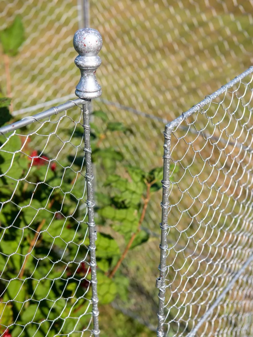 Tall Chicken Wire Critter Fence Extension Panel, Set Of 2 7 Tall Chicken Wire Critter Fence Extension Panel, Set Of 2 - Image 7