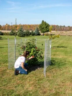 Tall Chicken Wire Critter Fence Extension Panel, Set Of 2 18 Tall Chicken Wire Critter Fence Extension Panel, Set Of 2 -GardenPro Shop 8613260 0090