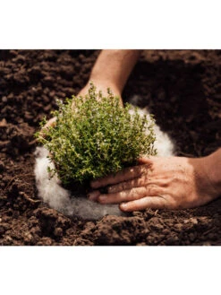 Hortiwool ®, 5 Pad Pack -GardenPro Shop 8613263 06v