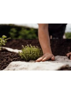 Hortiwool ®, Starter Garden Pad -GardenPro Shop 8613263 09v