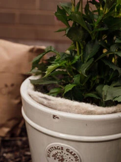 Hortiwool ®, 5 Pad Pack -GardenPro Shop 8613263 17v