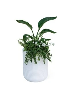 Arden Round Planter -GardenPro Shop 8613267 0115