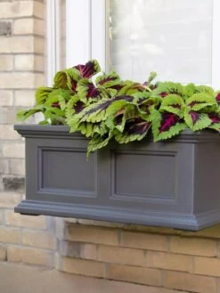 Fairfield Self-Watering Window Box, 2’ 11 Fairfield Self-Watering Window Box, 2’ -GardenPro Shop 8613268 08V tif