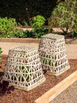 Bamboo Cloche, Set Of 2 -GardenPro Shop 8613351 0150 bamboo cloche set of 2