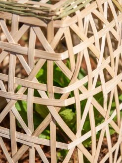 Bamboo Cloche, Set Of 2 -GardenPro Shop 8613351 0153