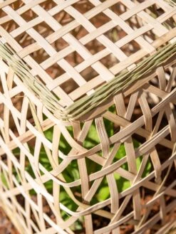 Bamboo Cloche, Set Of 2 -GardenPro Shop 8613351 0154