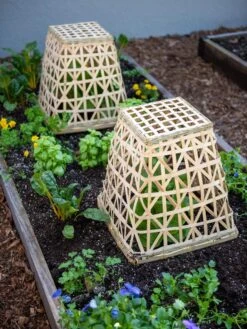 Bamboo Cloche, Set Of 2 -GardenPro Shop 8613351 6766