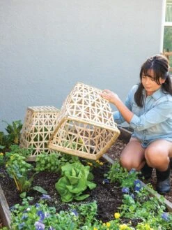 Bamboo Cloche, Set Of 2 -GardenPro Shop 8613351 6862