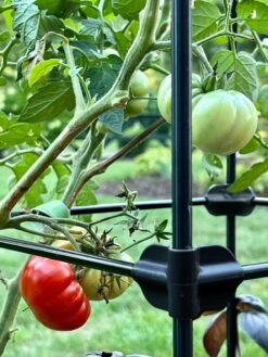Oasis Self-Watering Tomato Planter With Trellis -GardenPro Shop 8613440 01TEST