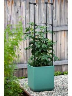 Oasis Self-Watering Tomato Planter With Trellis -GardenPro Shop 8613440 0373 3 4