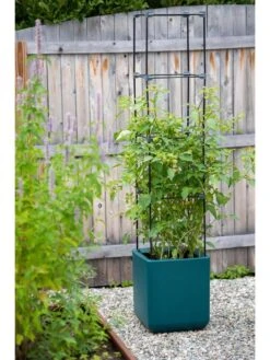 Oasis Self-Watering Tomato Planter With Trellis -GardenPro Shop 8613440 0376 3 4 1
