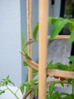 Elevated Bamboo Tomato Planter And Trellis -GardenPro Shop 8613502 0423
