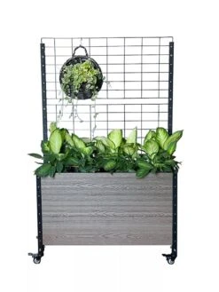 Mobile Deep Trough Planter With Trellis -GardenPro Shop 8614265 03V